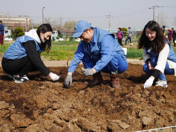 지난 21일 포스코켐텍 주말농장을 분양받은 직원과 청림동 주민들이 파종하고 있다.