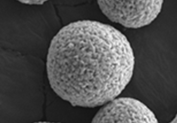 하이니켈 양극재