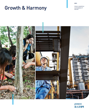 2013 포스코케미칼 지속가능경영보고서