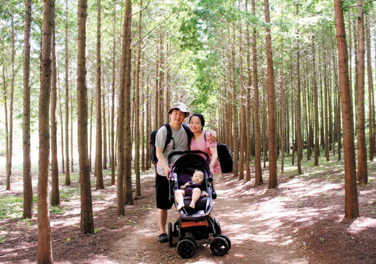 포항로재기술안전팀 임현준 / 작품명 : 잠자는 숲 속의 요정