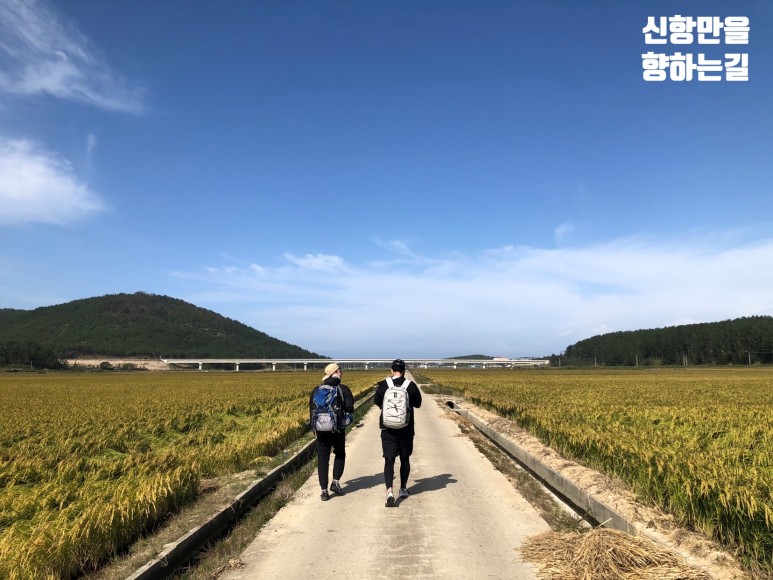 신항만을 향하는 길