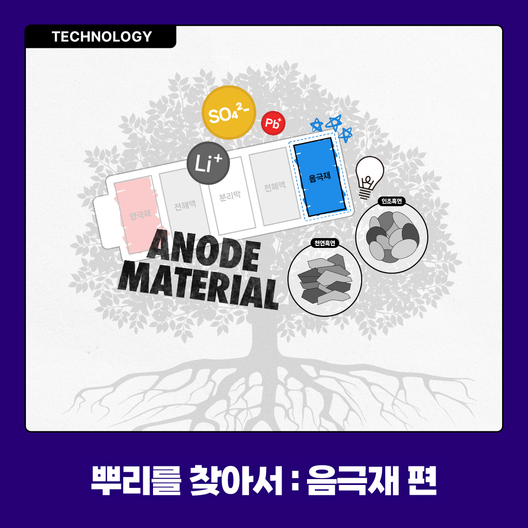 뿌리를 찾아서 : 음극재편