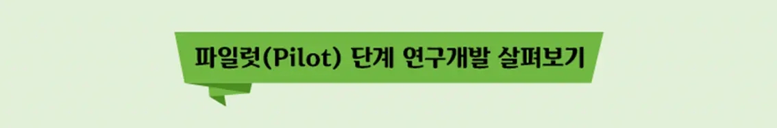 파일럿(Pilot) 단계 연구개발 살펴보기